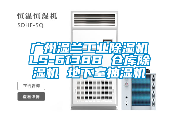 广州湿兰工业除湿机LS-6138B 仓库除湿机 地下室抽湿机