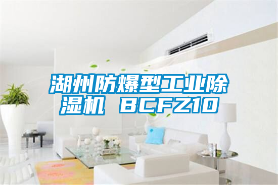 湖州防爆型工业除湿机 BCFZ10