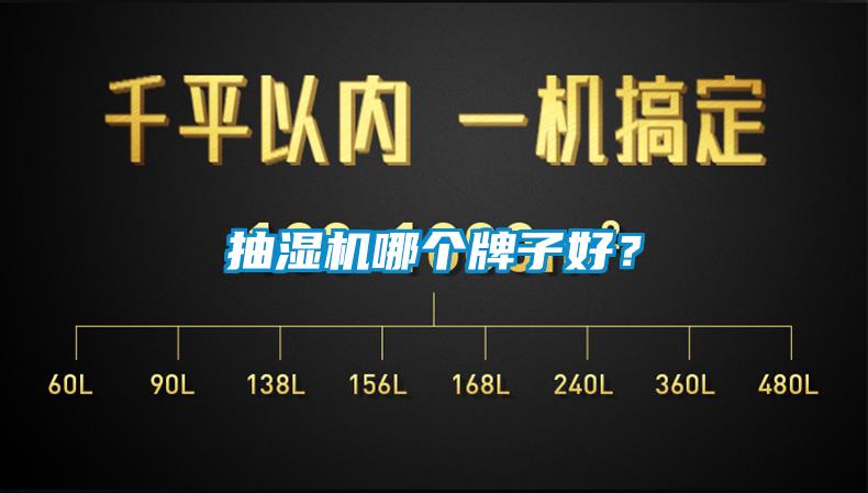 抽湿机哪个牌子好？