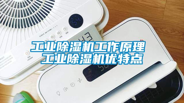 工业除湿机工作原理 工业除湿机优特点