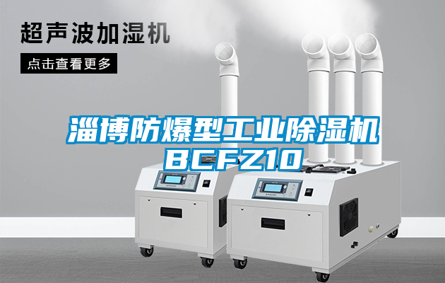 淄博防爆型工业除湿机 BCFZ10