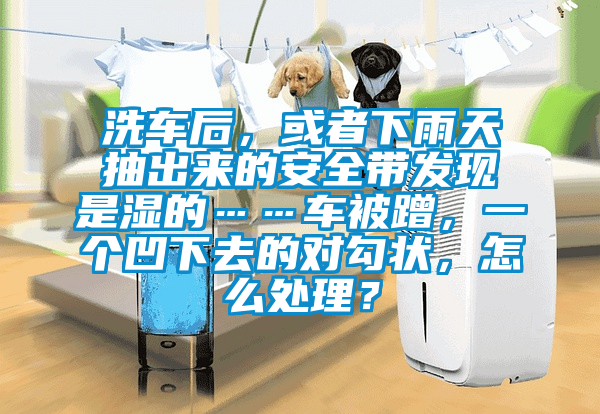 洗车后，或者下雨天抽出来的安全带发现是湿的……车被蹭，一个凹下去的对勾状，怎么处理？