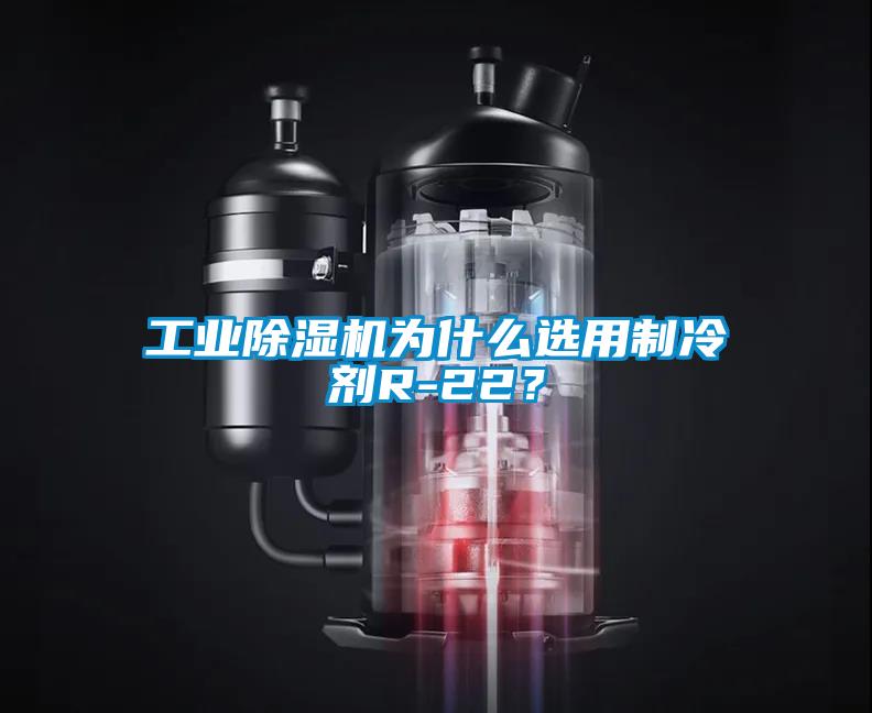 工业除湿机为什么选用制冷剂R-22？