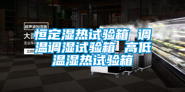 恒定湿热试验箱 调温调湿试验箱 高低温湿热试验箱