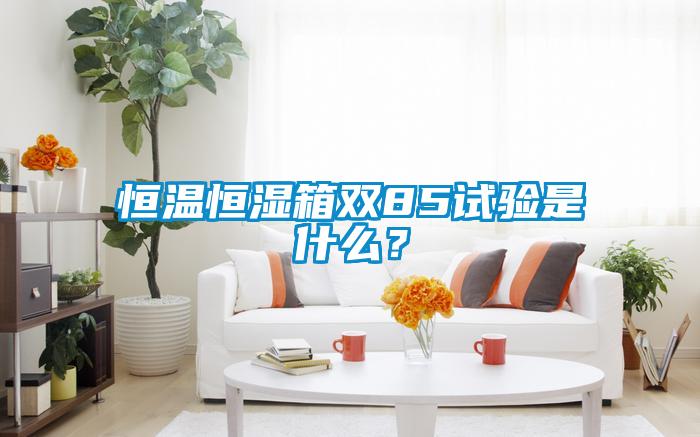 恒温恒湿箱双85试验是什么？