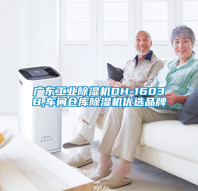 广东工业除湿机DH-1603B,车间仓库除湿机优选品牌