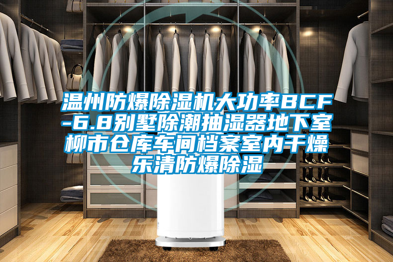 温州防爆除湿机大功率BCF-6.8别墅除潮抽湿器地下室柳市仓库车间档案室内干燥乐清防爆除湿