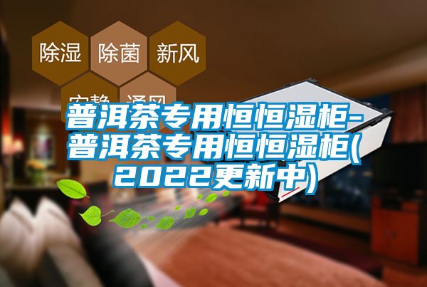 普洱茶专用恒恒湿柜-普洱茶专用恒恒湿柜(2022更新中)