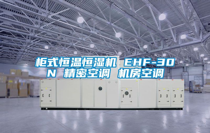 柜式恒温恒湿机 EHF-30N 精密空调 机房空调