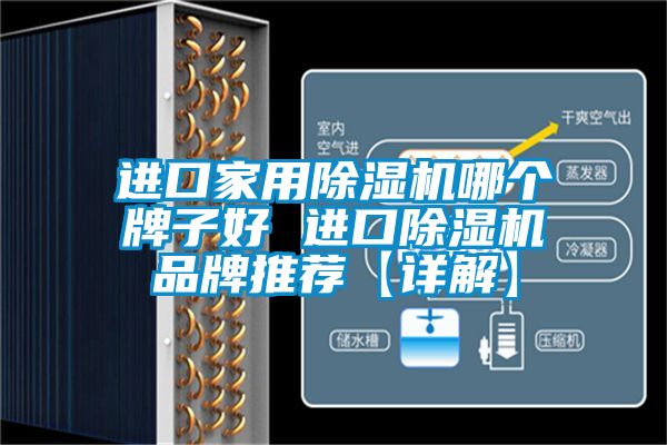 进口家用除湿机哪个牌子好 进口除湿机品牌推荐【详解】