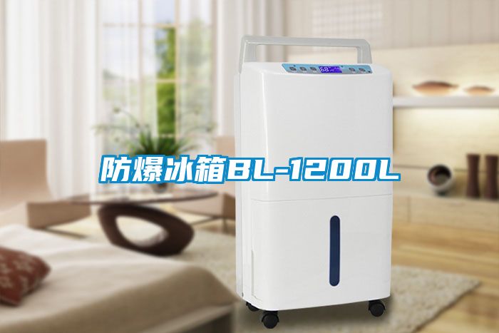 防爆冰箱BL-1200L