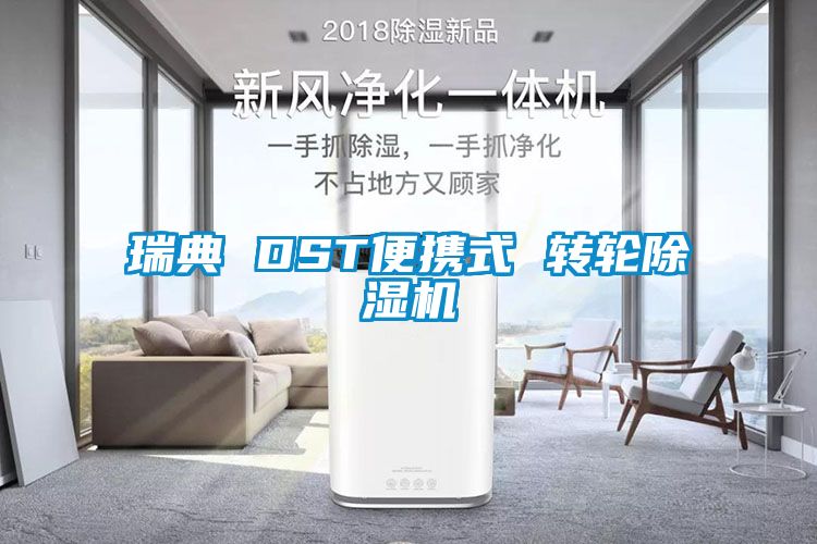 瑞典 DST便携式 转轮除湿机