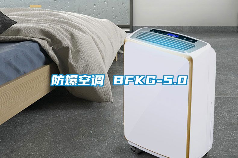 防爆空调 BFKG-5.0