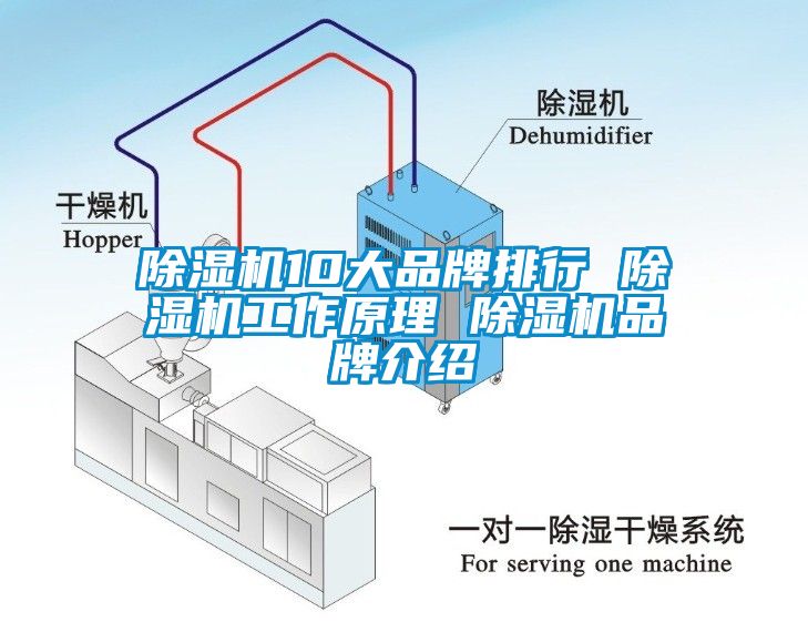 除湿机10大品牌排行 除湿机工作原理 除湿机品牌介绍