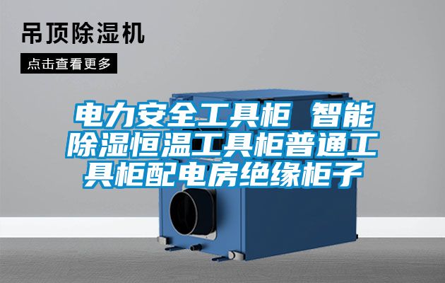 电力安全工具柜 智能除湿恒温工具柜普通工具柜配电房绝缘柜子