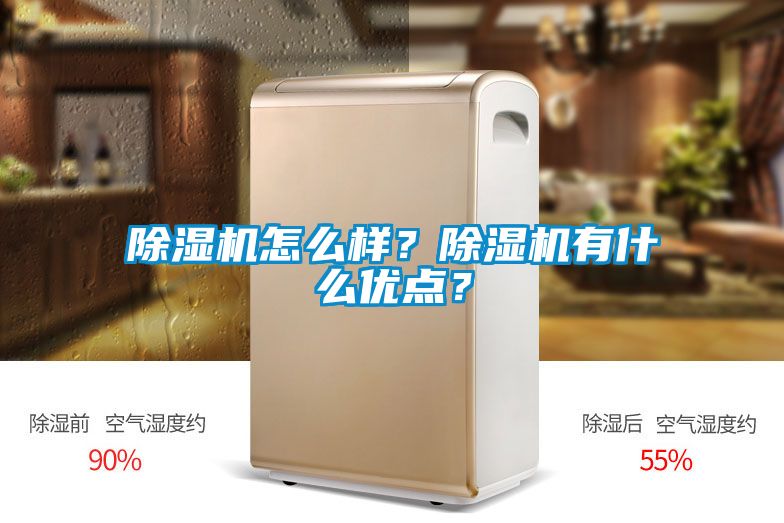 除湿机怎么样？除湿机有什么优点？