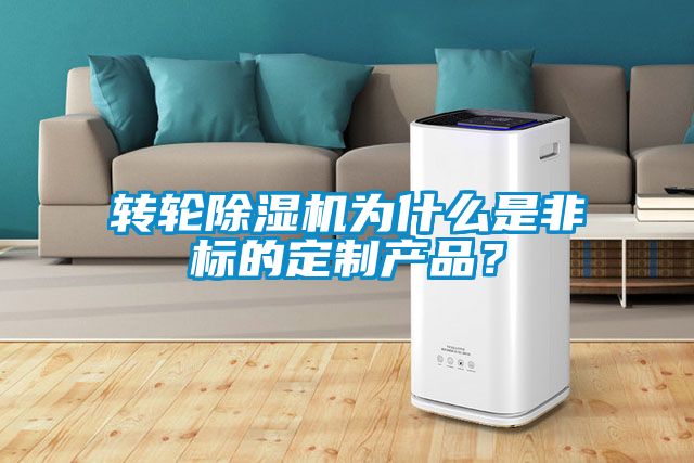 转轮除湿机为什么是非标的定制产品？