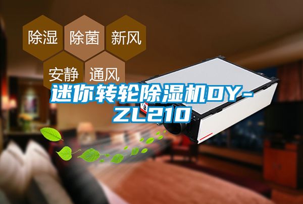 迷你转轮除湿机DY-ZL210