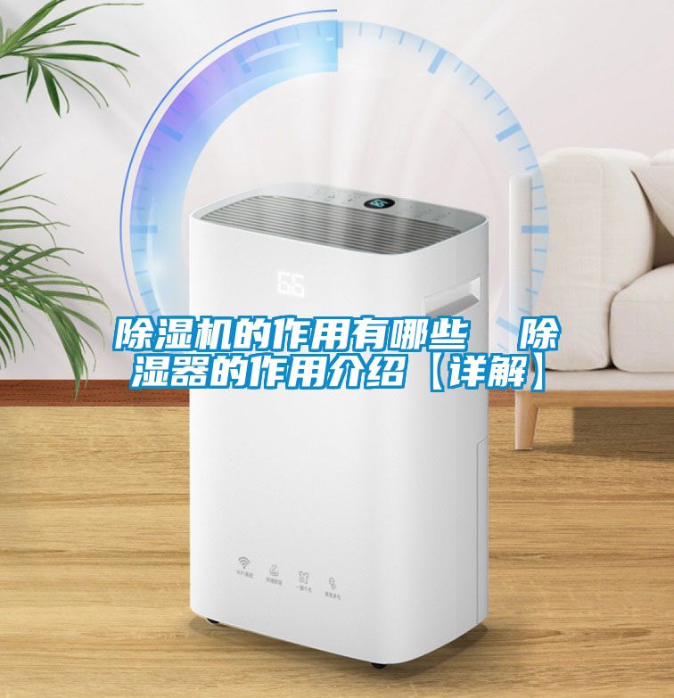 除湿机的作用有哪些  除湿器的作用介绍【详解】