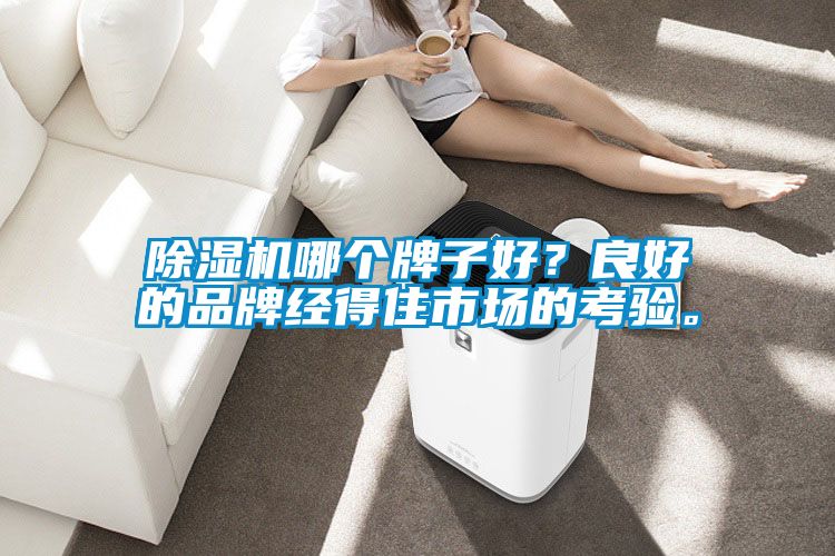 除湿机哪个牌子好？良好的品牌经得住市场的考验。