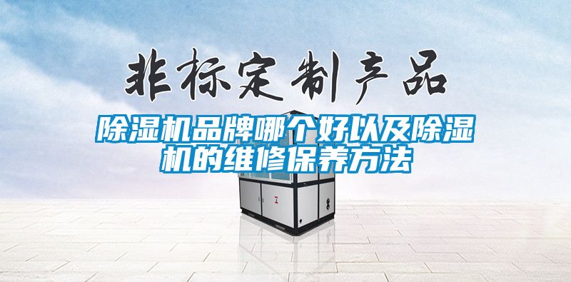 除湿机品牌哪个好以及除湿机的维修保养方法