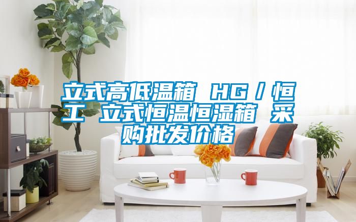 立式高低温箱 HG／恒工 立式恒温恒湿箱 采购批发价格