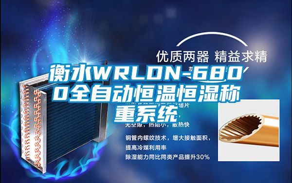 衡水WRLDN-6800全自动恒温恒湿称重系统