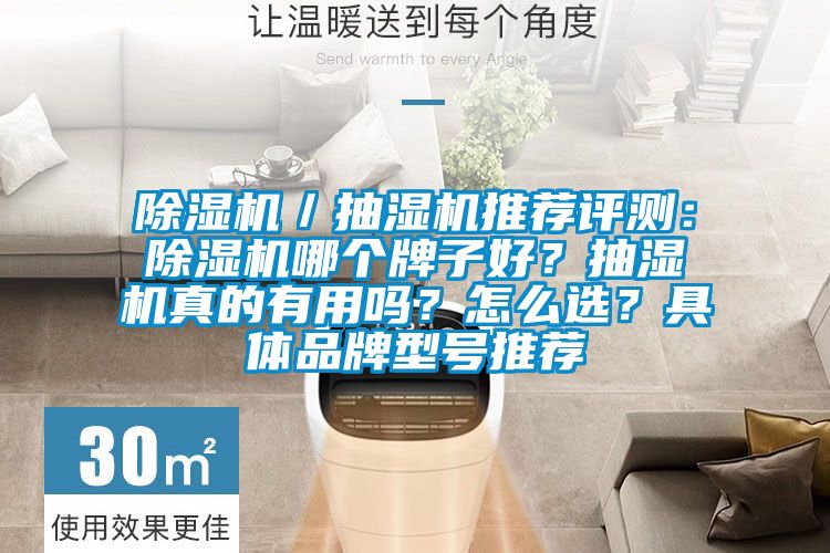 除湿机／抽湿机推荐评测：除湿机哪个牌子好？抽湿机真的有用吗？怎么选？具体品牌型号推荐