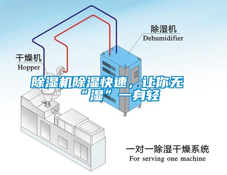 除湿机除湿快速，让你无“湿”一身轻