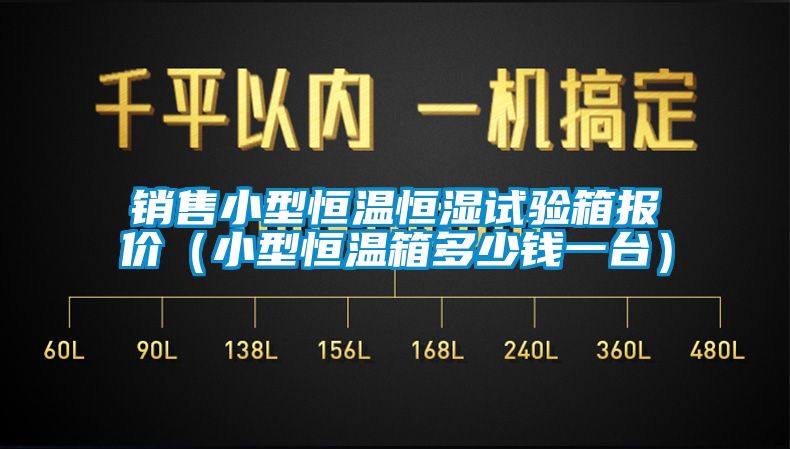 销售小型恒温恒湿试验箱报价（小型恒温箱多少钱一台）