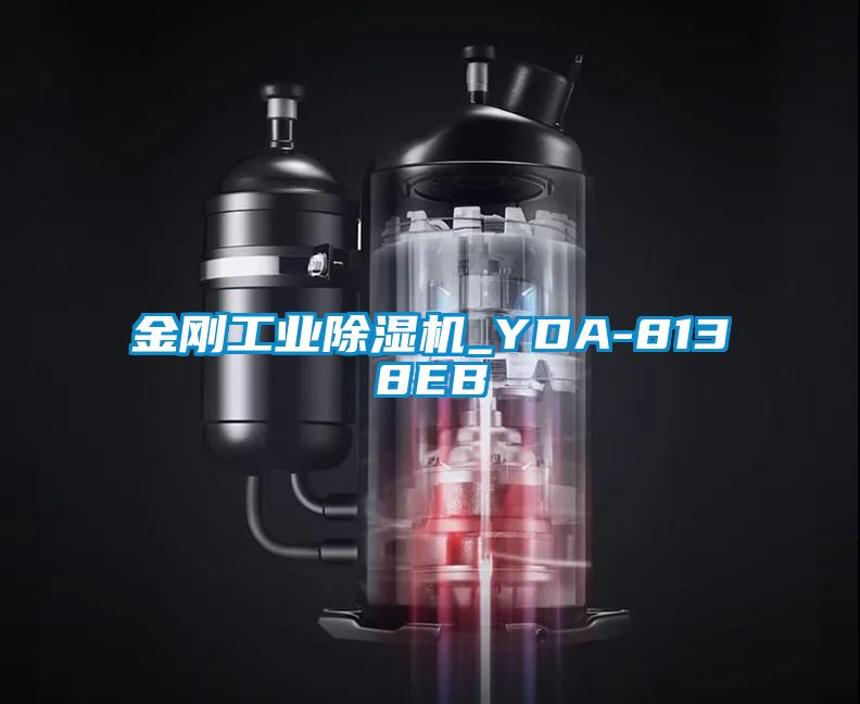 金刚工业除湿机_YDA-8138EB