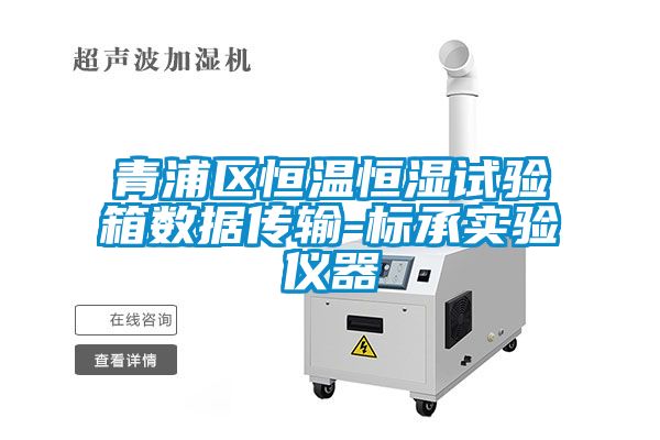 青浦区恒温恒湿试验箱数据传输-cq9电子实验仪器