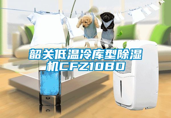 韶关低温冷库型除湿机CFZ10BD