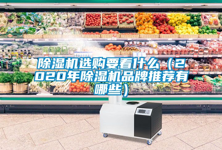 除湿机选购要看什么（2020年除湿机品牌推荐有哪些）